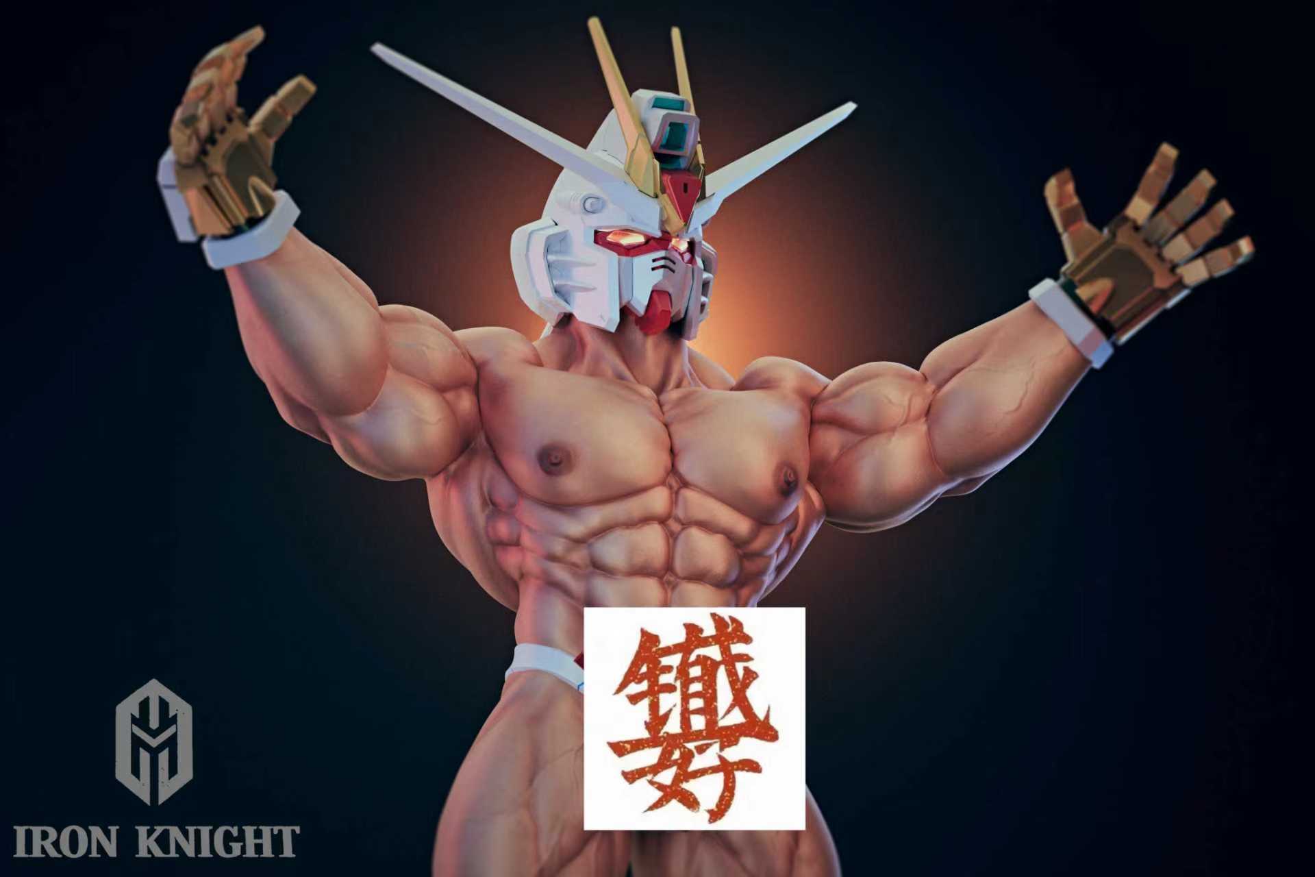 【Pre-sale】1/6 Scale 002 Freedom Warrior-Iron Knight Studio