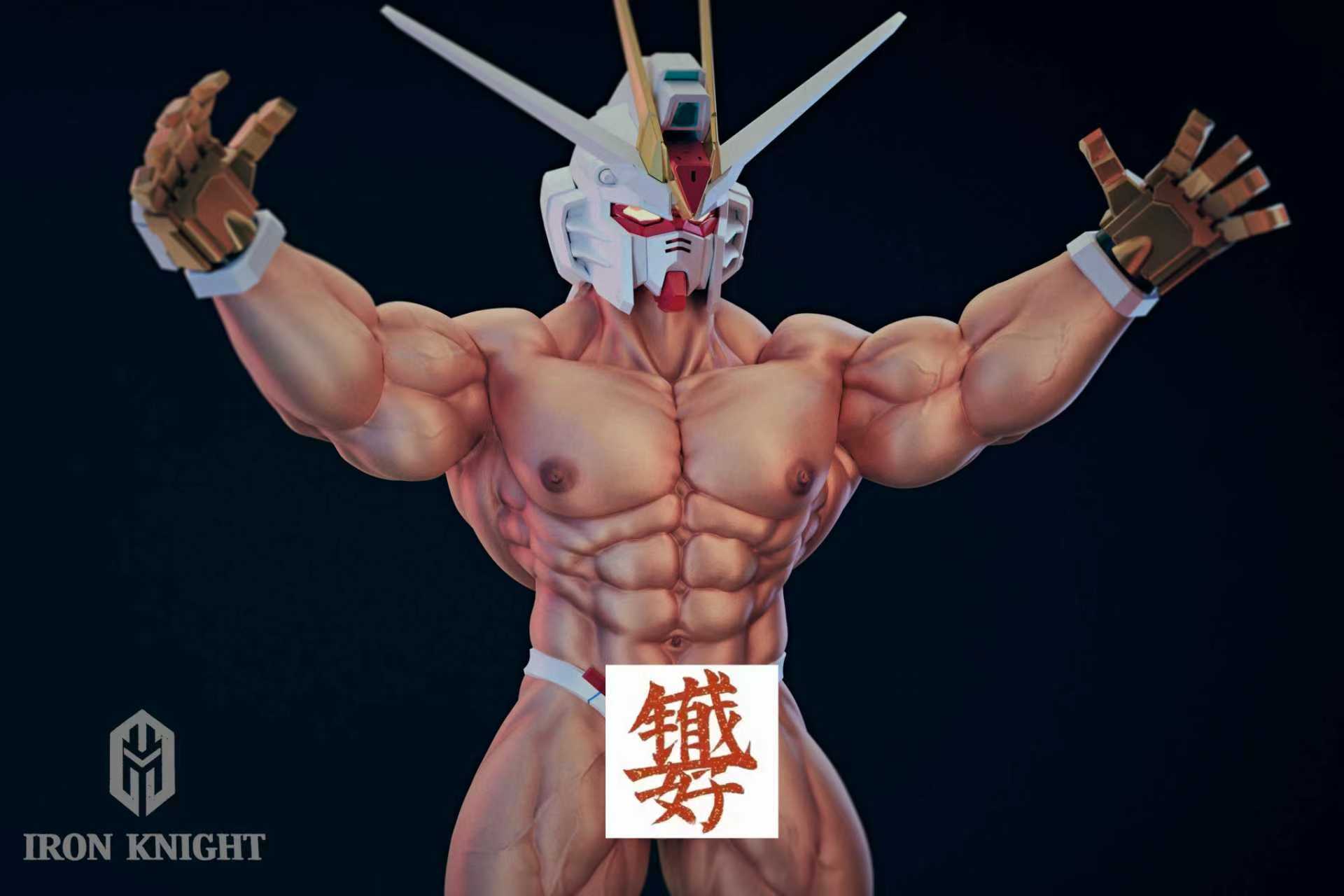 【Pre-sale】1/6 Scale 002 Freedom Warrior-Iron Knight Studio
