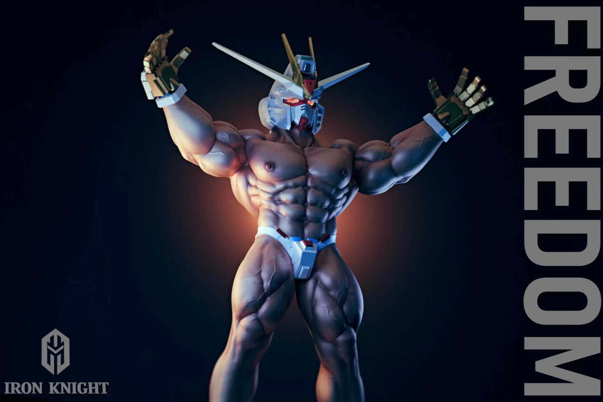 【Pre-sale】1/6 Scale 002 Freedom Warrior-Iron Knight Studio