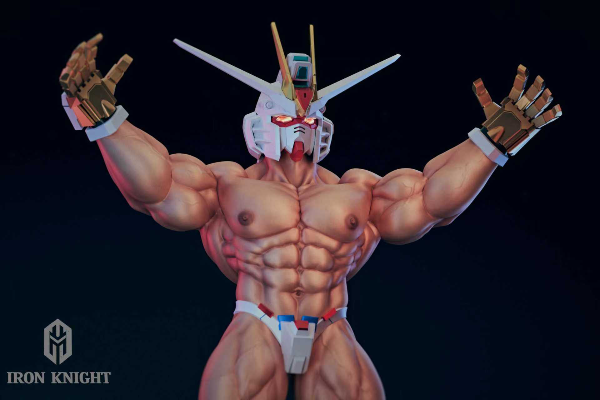 【Pre-sale】1/6 Scale 002 Freedom Warrior-Iron Knight Studio