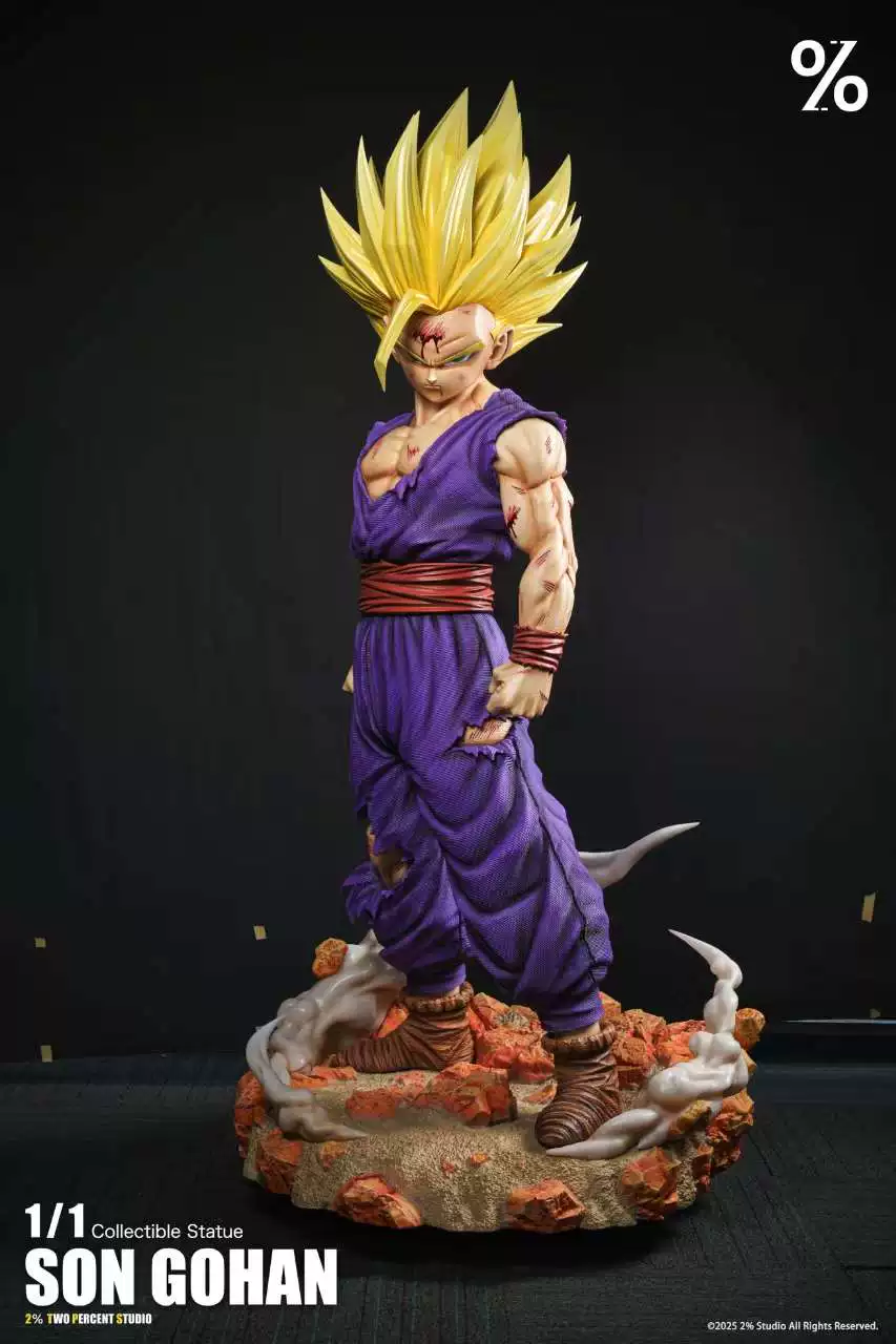 【Pre-sale】1/1 Sale Son Gohan-Dragon Ball-2％ Studio