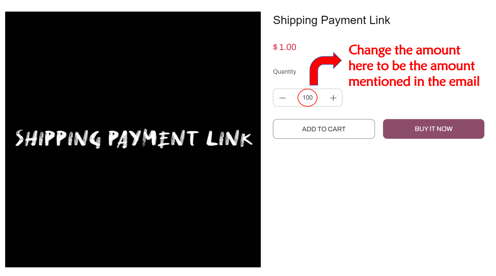 Shipping Payment Link