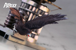 【Pre-sale】1/4 Scale Black Shadow-Other Series-APEX Studio