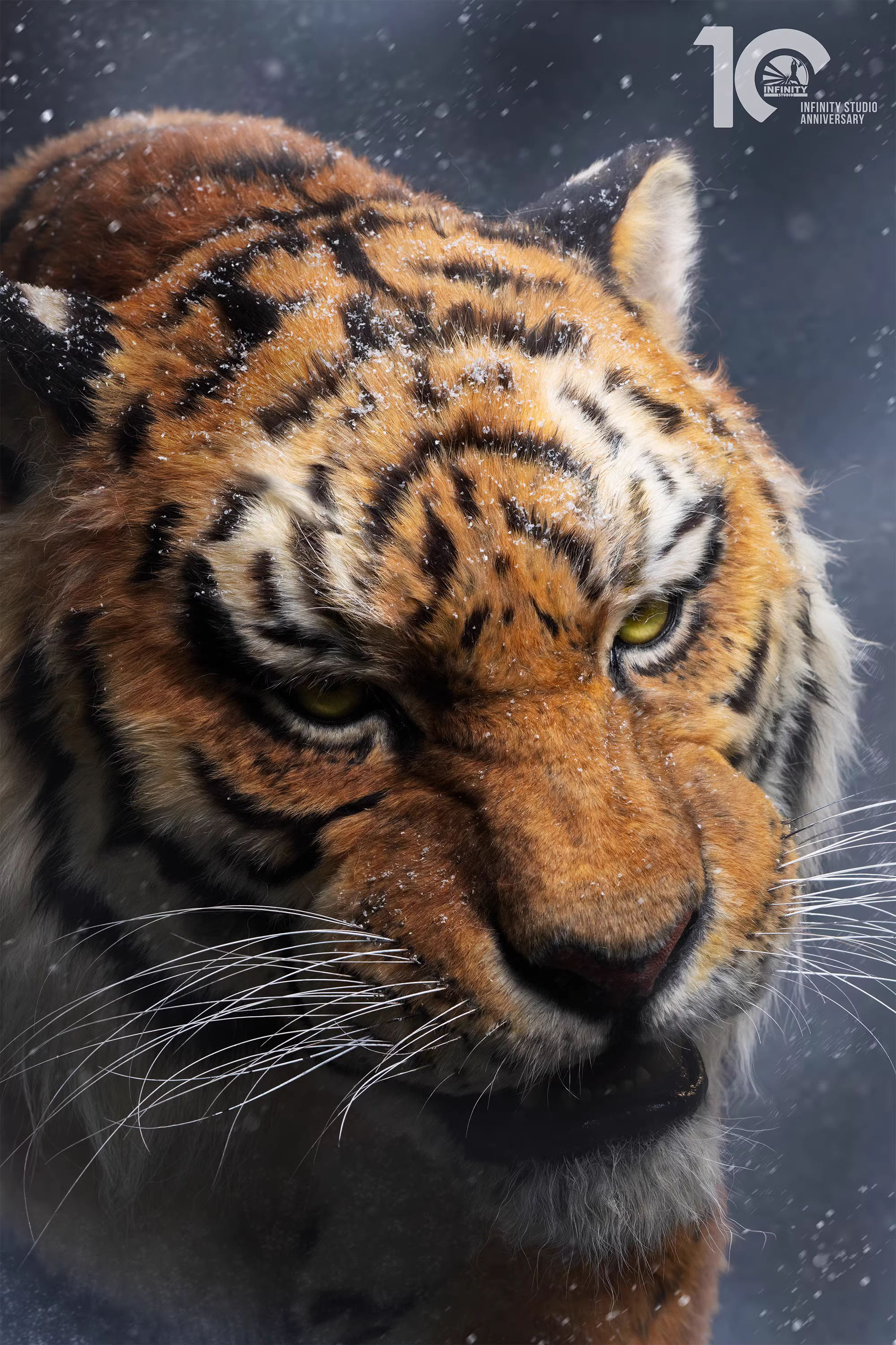 【Pre-sale】1/1 Scale Tiger-Other series-Infinity Studio