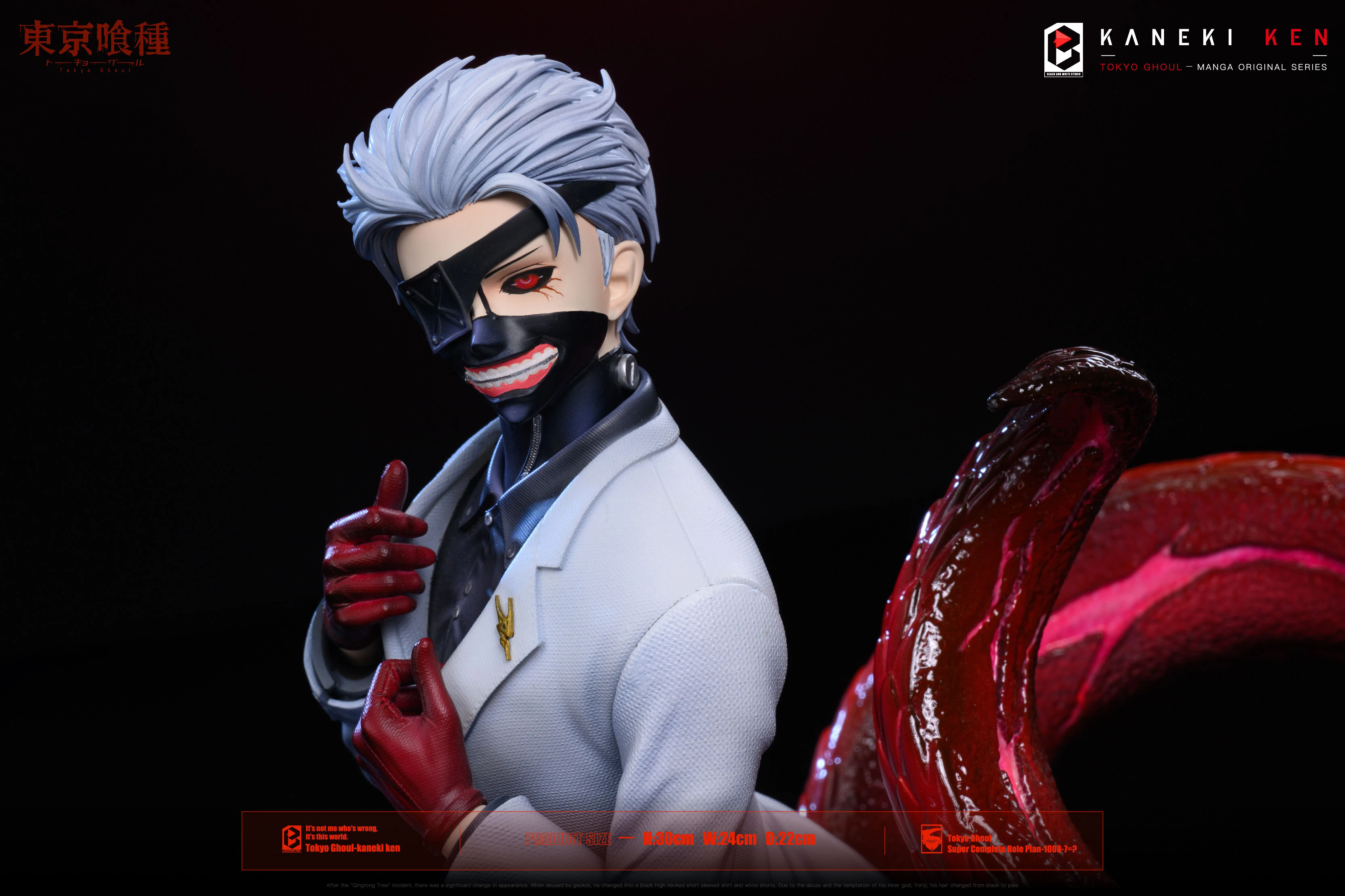 【Pre-sale】Ken Kaneki-BW Studio