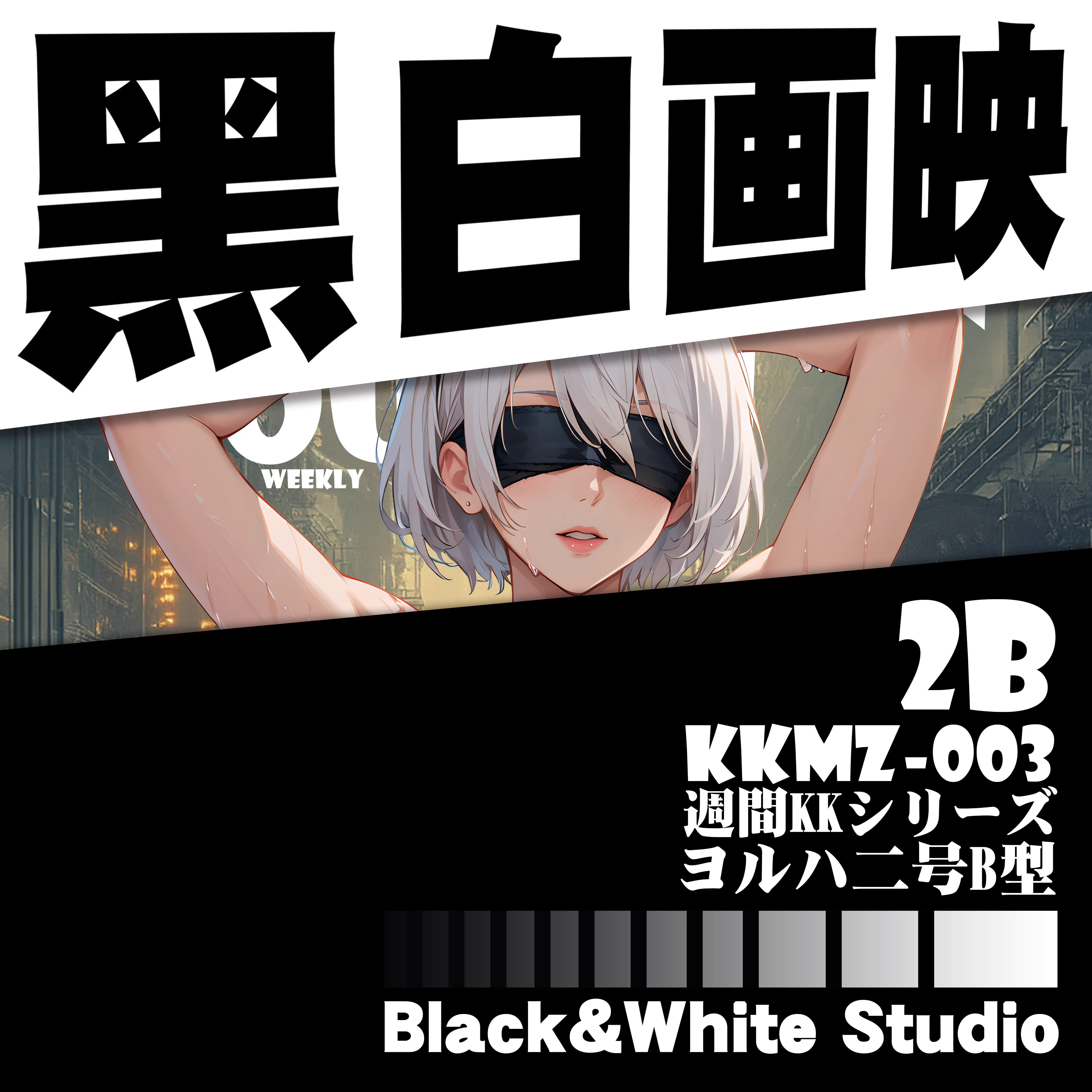 【Pre-sale】KKMZ-003 Decorative Painting of 2B-NieR:Automata-B&W Studio