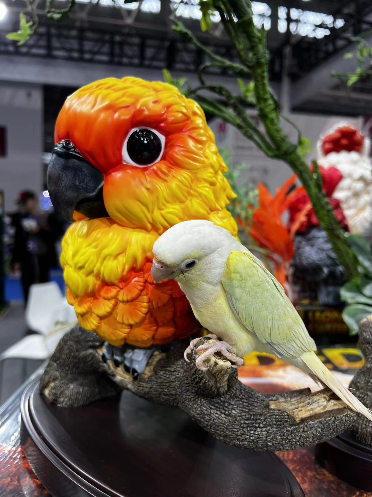 【Pre-sale】Various Plus Parrots-Original Design-BoWuZhi Studio