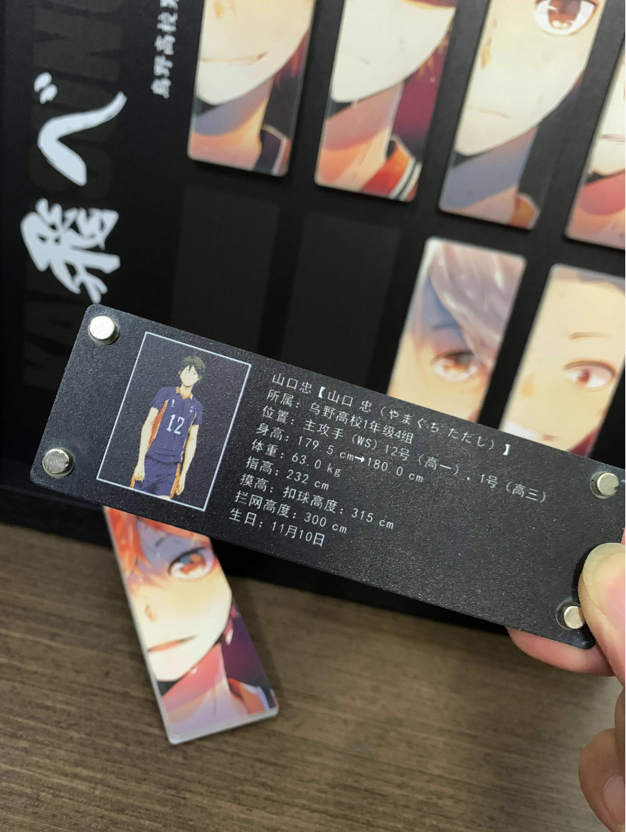 【In stock】Decorative Painting of Karasuno-Haikyuu!!-Mystical Art Studio