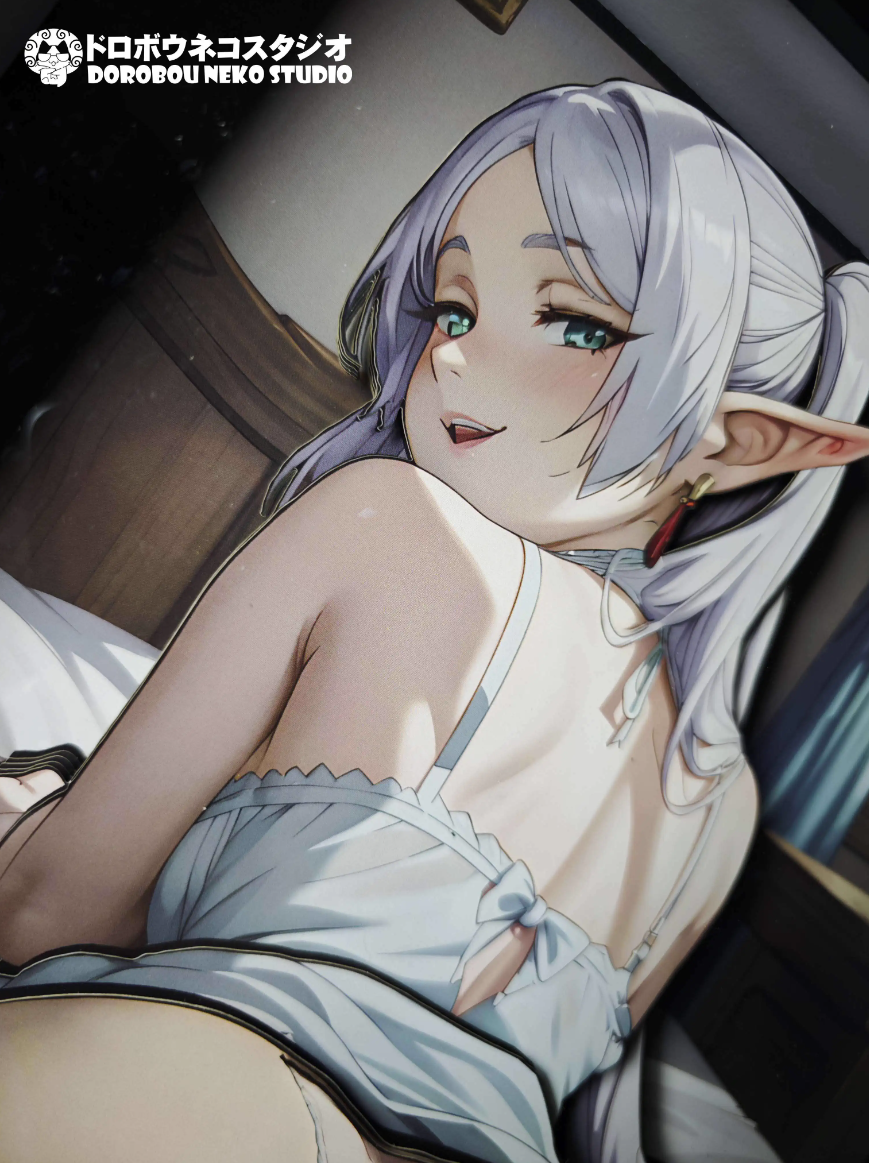 【In stock】DSMG-088 Decorative Painting of Frieren-Frieren at the Funeral-Dorobou Neko Studio