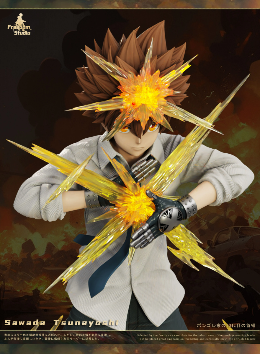 【Pre-sale】Sawada Tsunayoshi-HITMAN REBORN!-Freedom Studio