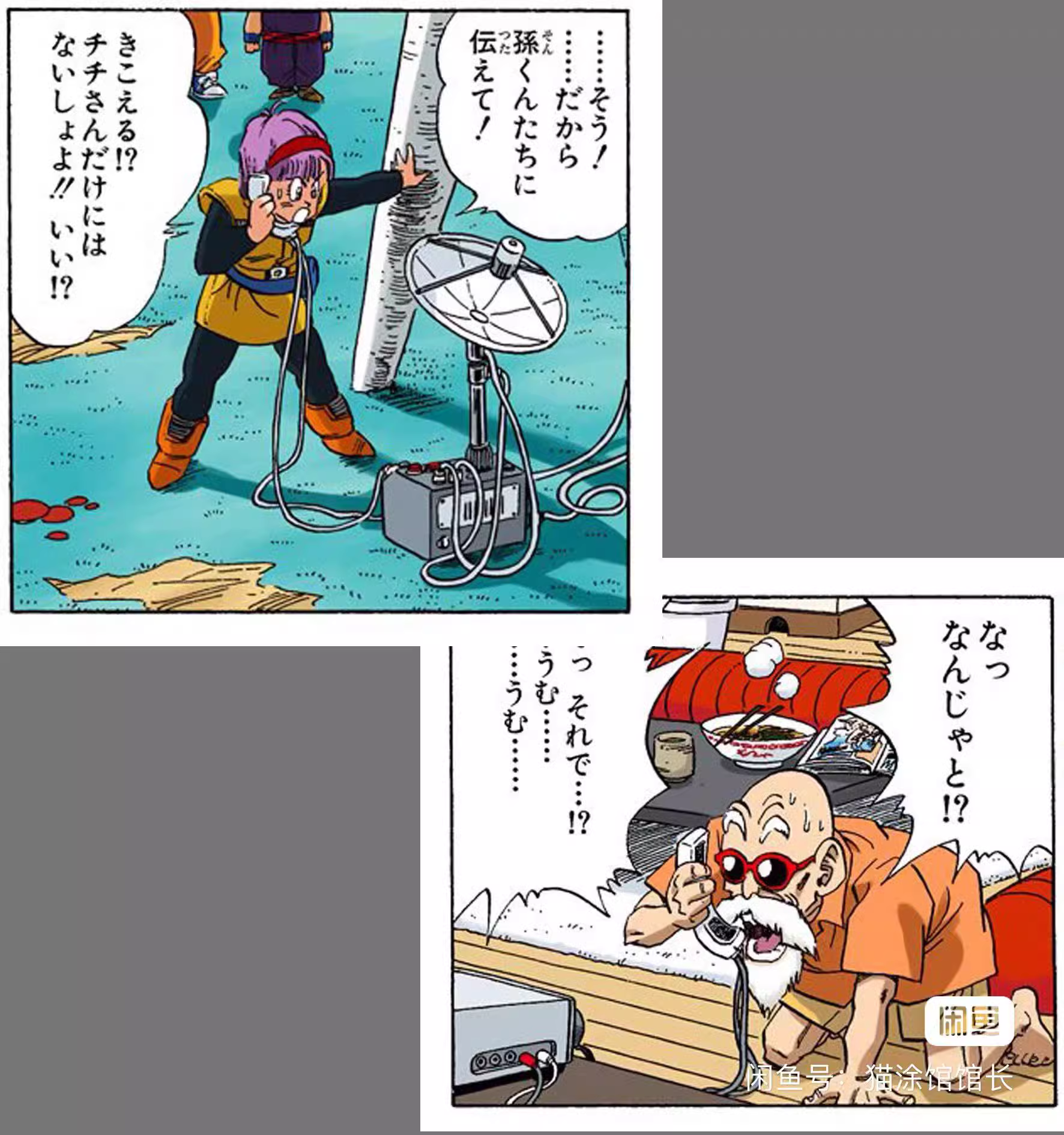 【Pre-sale】Bulma & Master Roshi-LL Studio