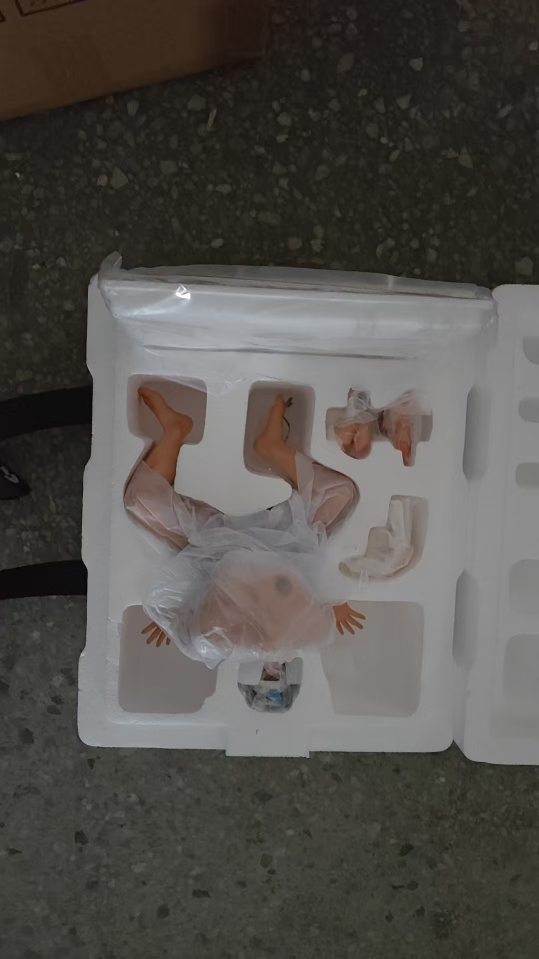 4983573_75501ac7_4aa1dfc6_0e6f8bea_8fdc7f6c-JK