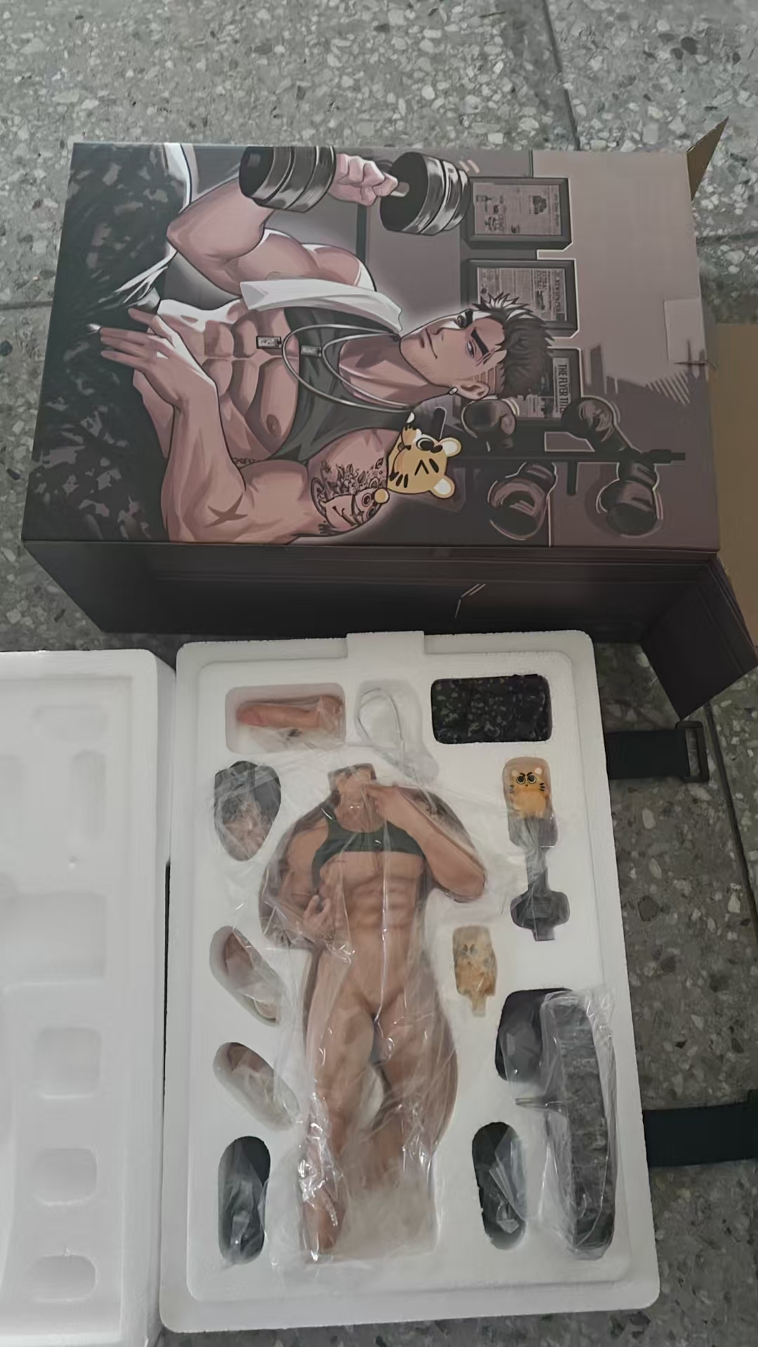 4994867_cb1c99e8_ryan_US